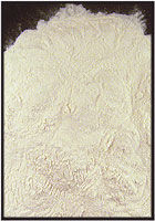 Gum Arabic (Acacia Gum) Powder - Click Image to Close